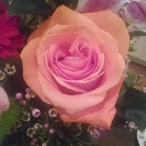 Meet your Posher, Lt